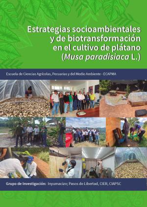 Estrategias socioambientales y de biotransformación en el cultivo de plátano